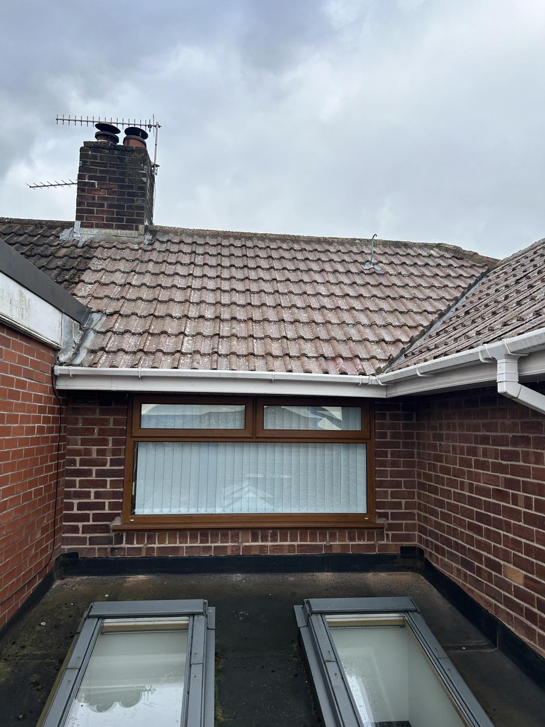 roof cleaned beside sky light windows